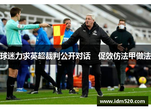 球迷力求英超裁判公开对话　促效仿法甲做法